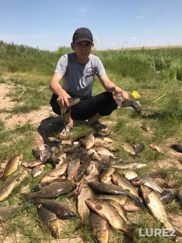 Carp — Karagandinskaya oblast, Jun 07, 2019