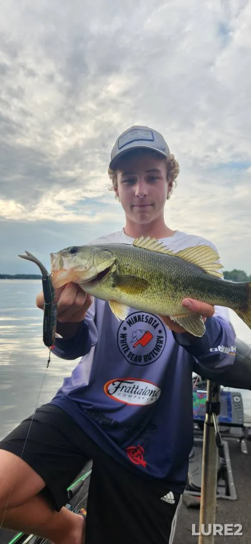 Largemouth bass — Bald Eagle Lake, Jun 09, 2020