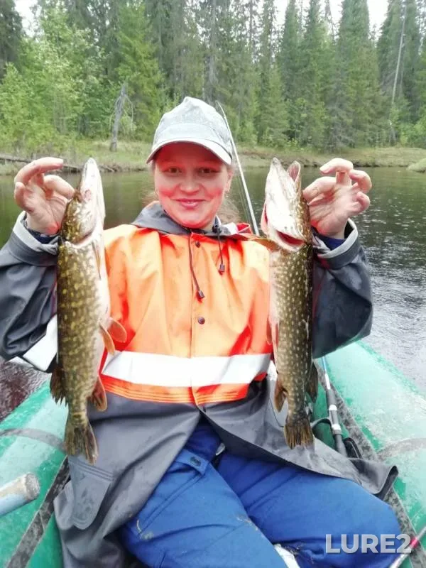 Pike — Tyulenga, Jun 05, 2019