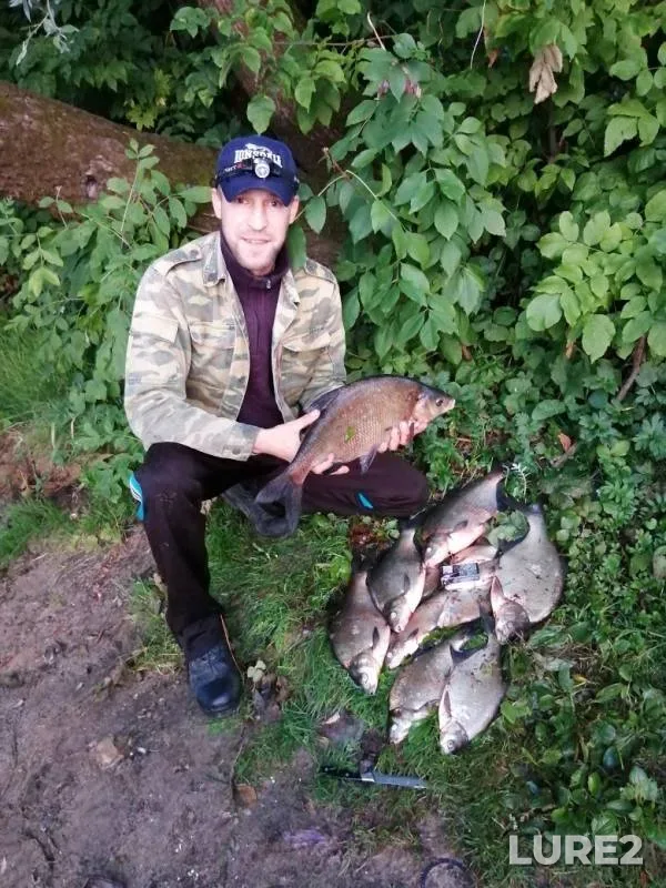 Bream — Desna, Jul 28, 2019