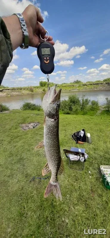 Pike — Tobyl - Tobol, Jul 01, 2019