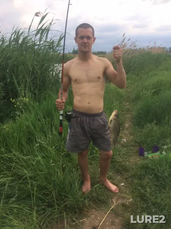 Crucian carp — Chelbas, Jul 01, 2019