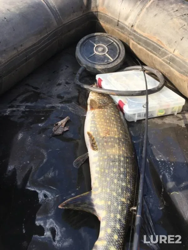 Pike — Rova, Oct 20, 2019