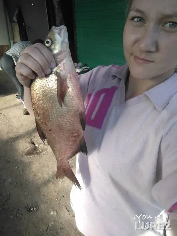 Bream — Oka, Jul 06, 2019