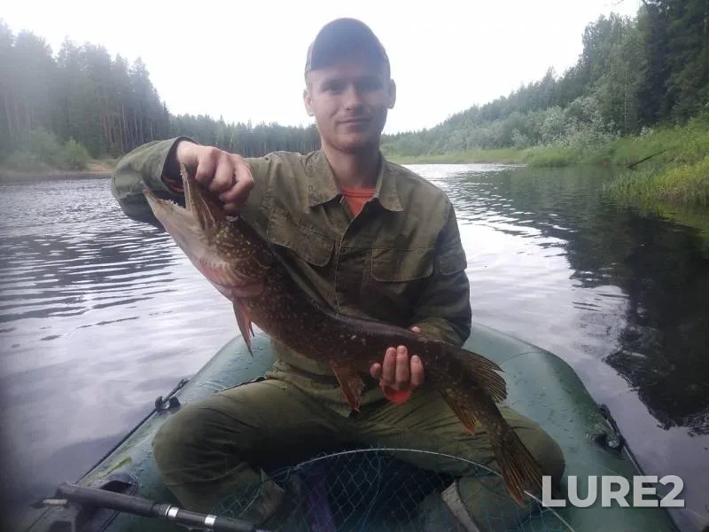Pike — KosTy, Jul 07, 2019