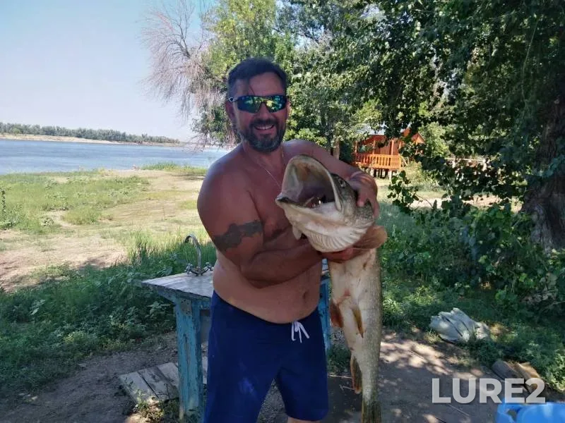 Pike — Kalmynka, Jul 23, 2019