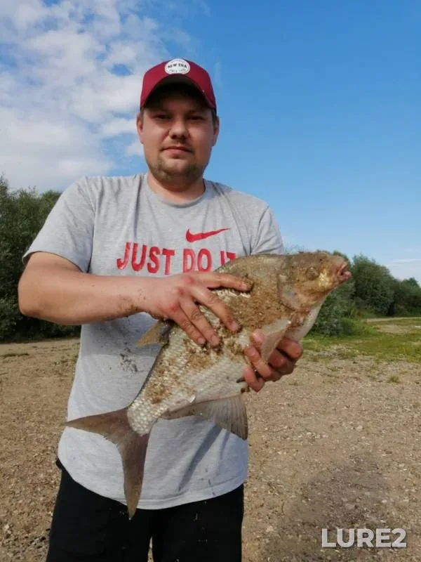 Bream — Nara, Jul 19, 2019