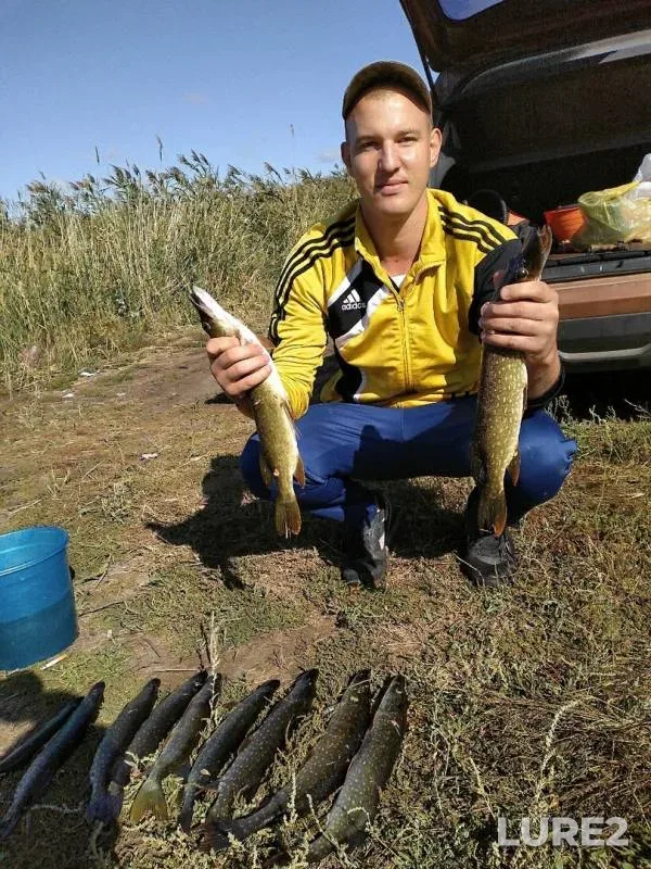 Pike — Saratovskaya oblast, Aug 26, 2019