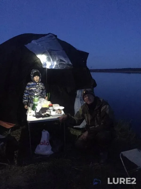 Bream — Vychegda, Aug 21, 2019