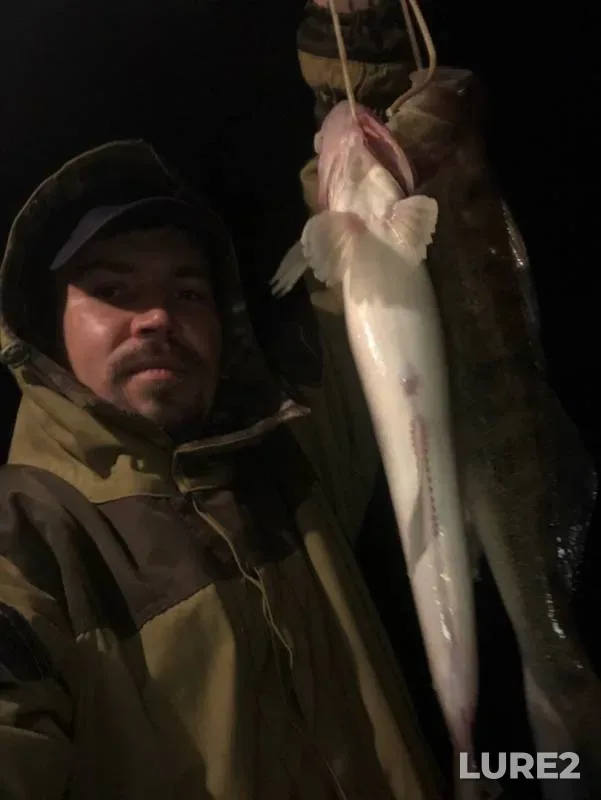 Zander — Volkhov, Aug 17, 2019
