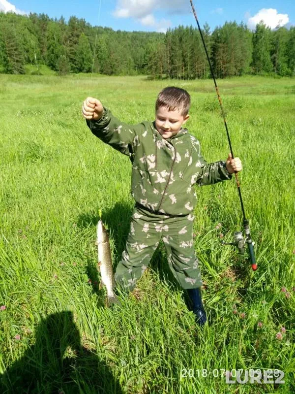 Pike — Krasnoyarskiy kray, Sep 18, 2019