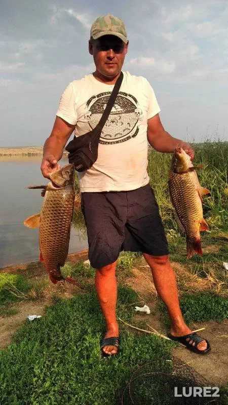 Carp — Khanzhenkovskoye, Aug 22, 2019
