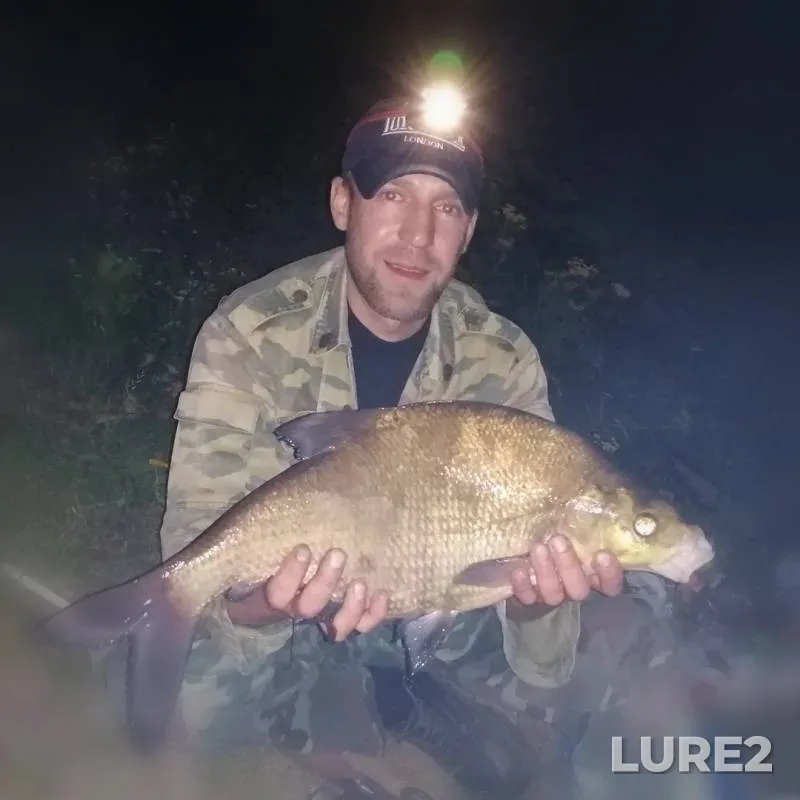 Bream — Desna, Aug 04, 2019