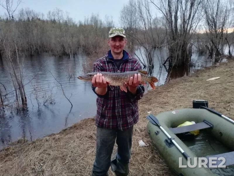 Pike — Pechora, Oct 01, 2019