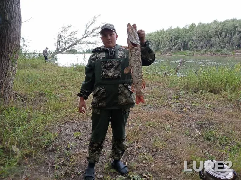 Pike — Irtysh, Oct 09, 2019