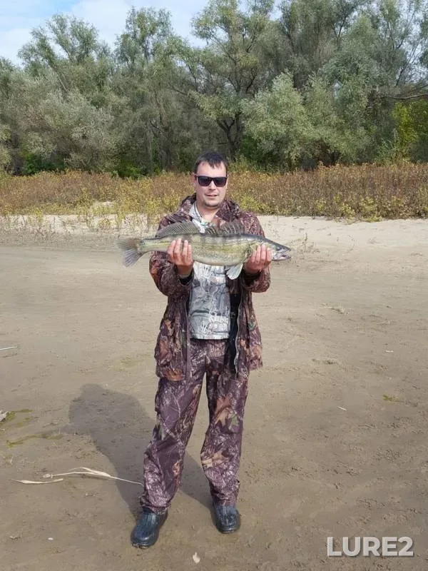 Zander — Akhtuba, Oct 02, 2019