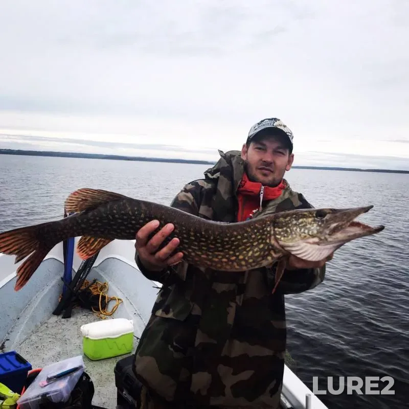 Pike — Kivach, Sep 30, 2019