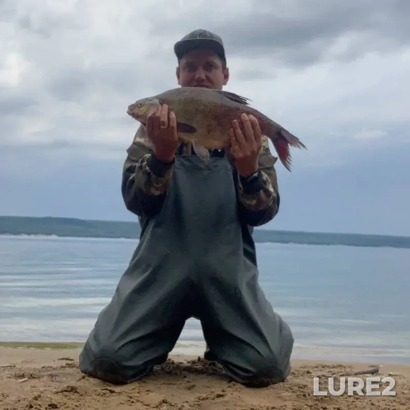Bream — Kuybyshevskoye, Aug 10, 2019