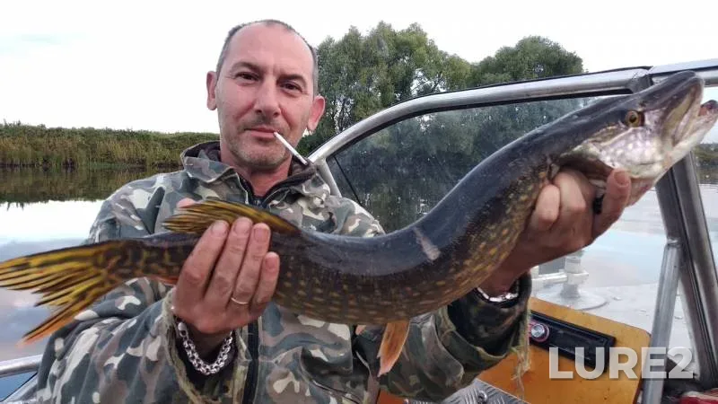 Pike — Kopka, Sep 01, 2019