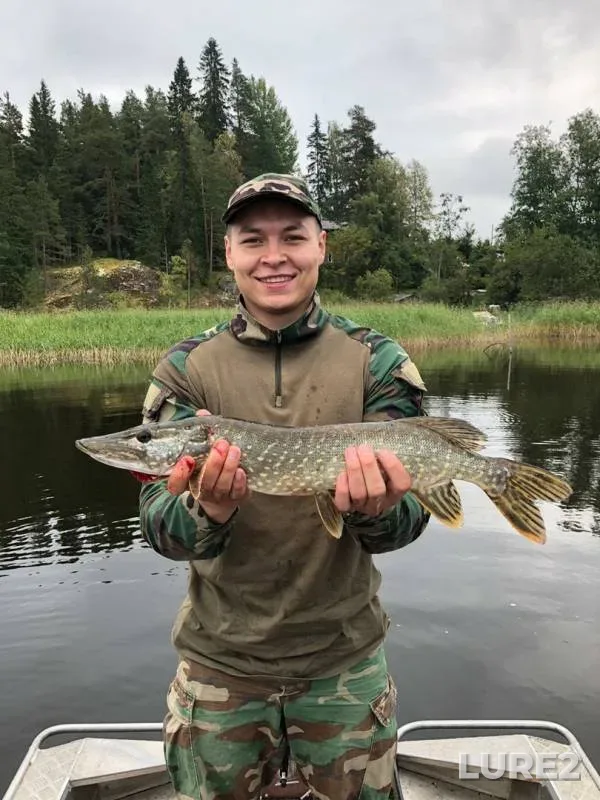 Pike — Respublika Kareliya, Lakhdenpokhskiy rayon, Sep 01, 2019