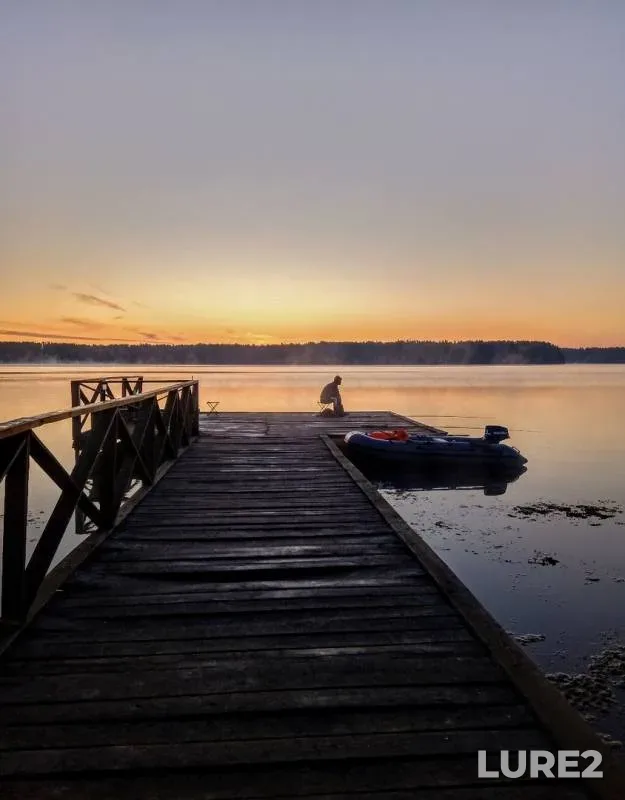 Crucian carp — Desnogorskoye, Sep 09, 2019