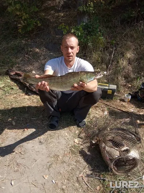 Crucian carp, Pike — Sinyukha, Sep 15, 2019