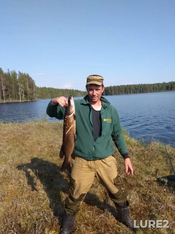 Pike — Suri-Retsuyarvi, Sep 28, 2019