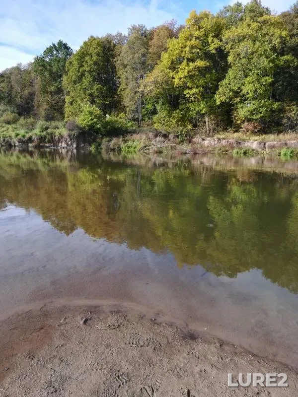 Wels catfish, Pike — Klyazma, Sep 29, 2019