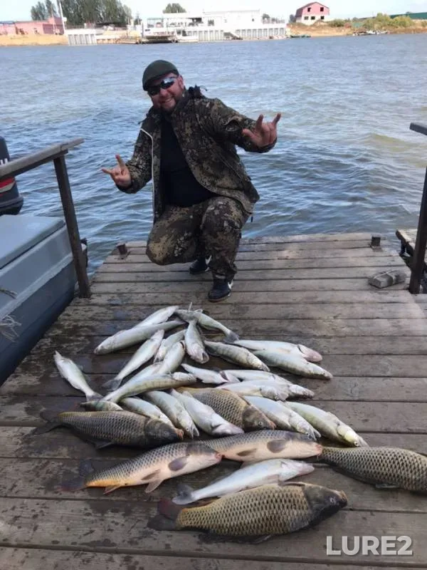Zander — Belinskiy bank, Oct 05, 2019