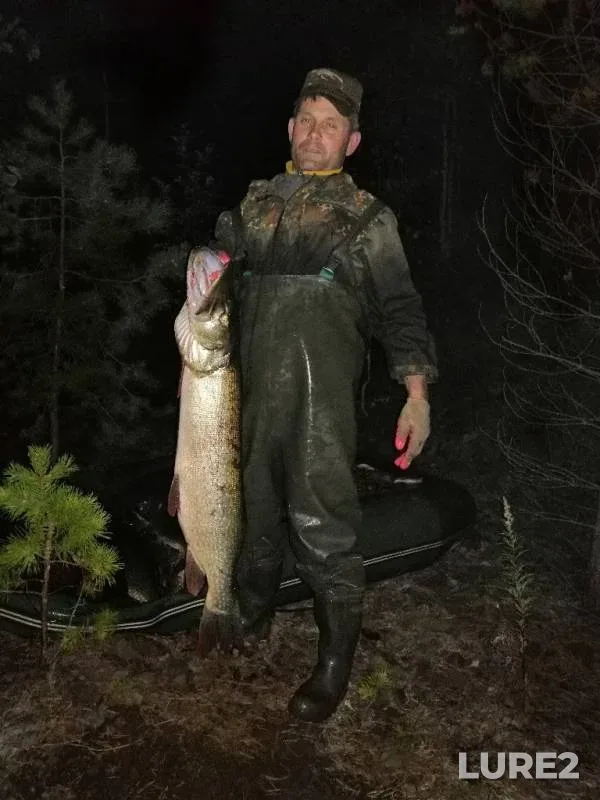 Pike — Angara, Oct 03, 2019