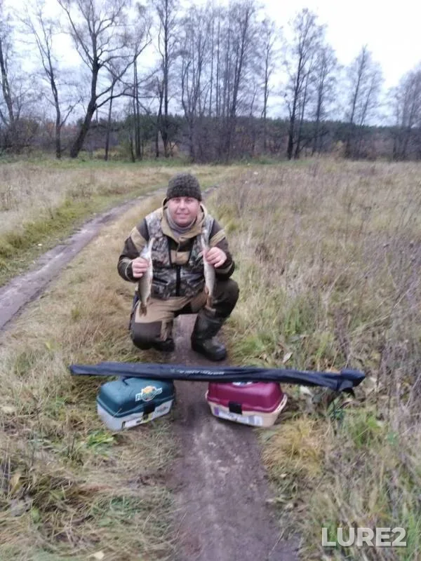 Pike — Klyazma, Oct 18, 2019