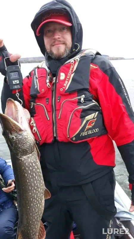 Pike — Nizhegorodskaya oblast, Oct 17, 2019