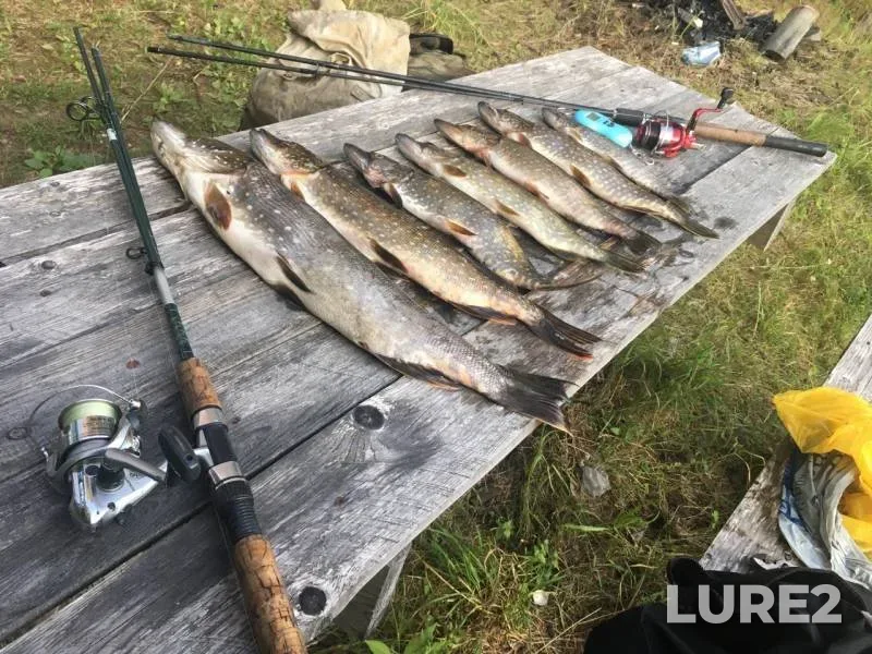 Pike — Kobozha, Oct 20, 2019
