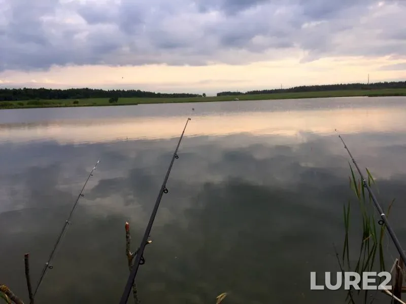 Crucian carp, Perch — Moskovskaya oblast, Mozhayskiy gorodskoy okrug, Oct 23, 2019