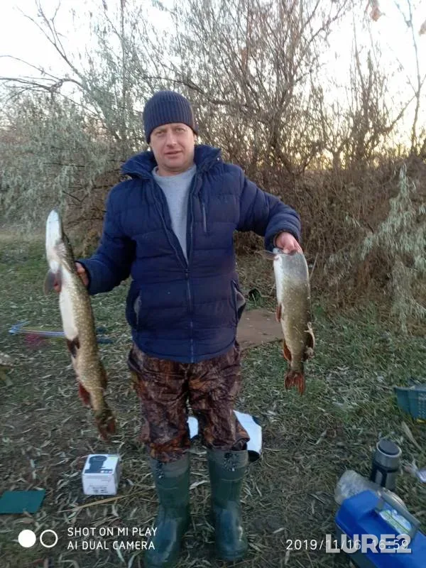Pike — Volgogradskaya oblast, Nov 17, 2019