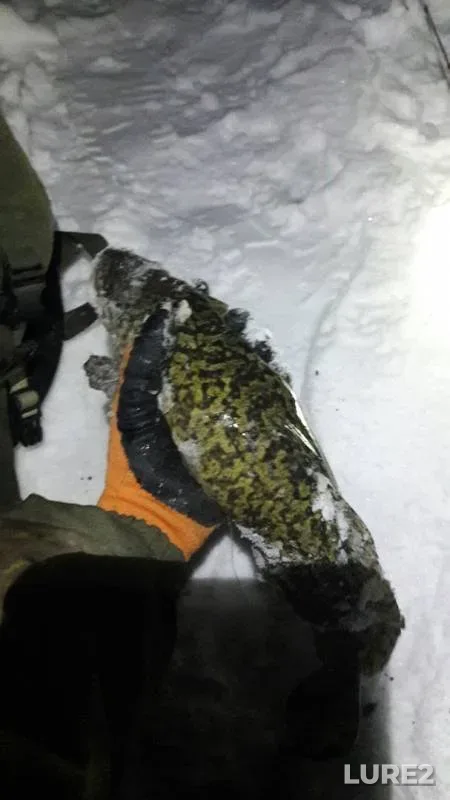 Burbot — Ishim, Mar 21, 2018