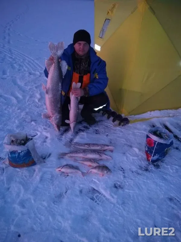 Perch, Pike — Severo-Kazakhstanskaya oblast, Dec 21, 2017