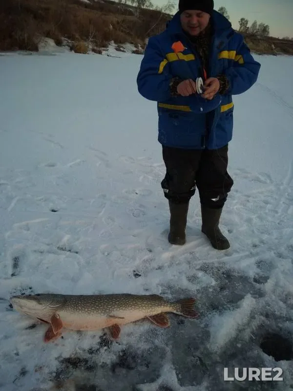 Pike — Severo-Kazakhstanskaya oblast, Dec 21, 2017