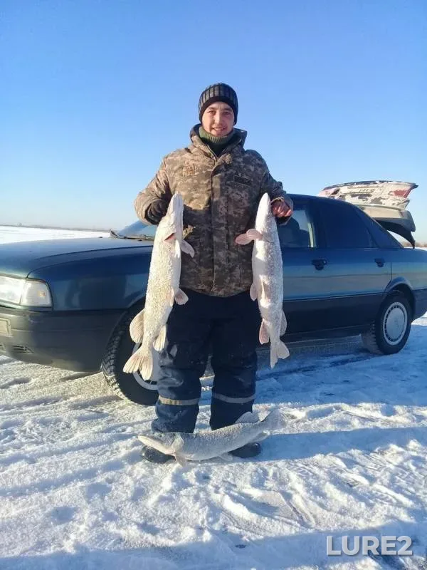 Pike — Severo-Kazakhstanskaya oblast, Dec 23, 2017