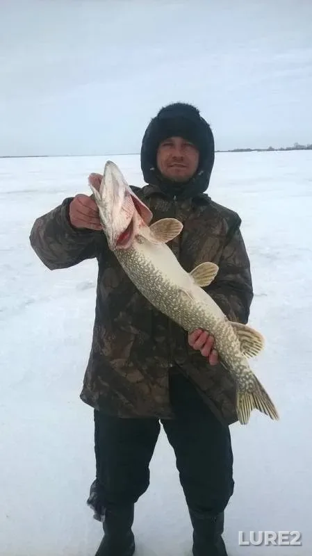 Pike — Severo-Kazakhstanskaya oblast, Mar 16, 2018