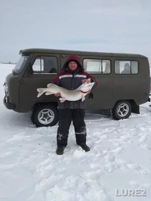 Pike — Severo-Kazakhstanskaya oblast, May 01, 2018