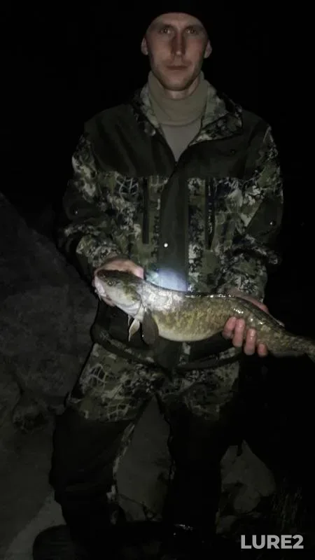 Burbot — Ishim, Jun 06, 2018