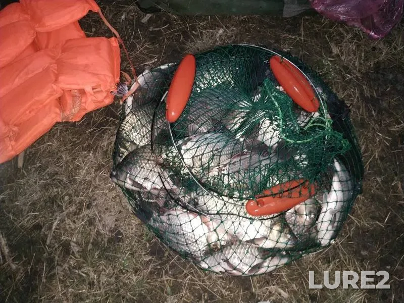 Crucian carp — Severo-Kazakhstanskaya oblast, Aug 25, 2018