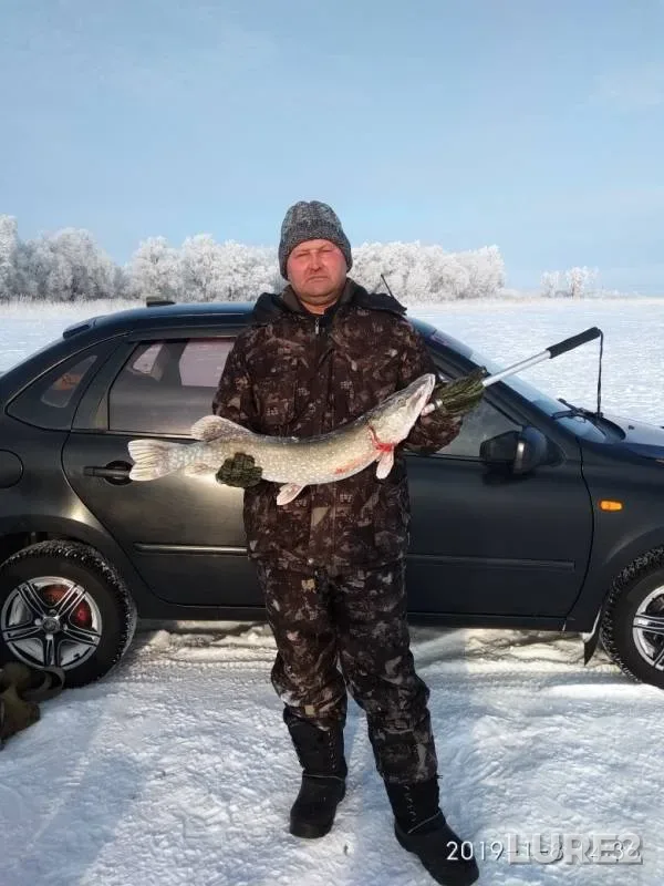 Pike — Severo-Kazakhstanskaya oblast, Jan 13, 2019