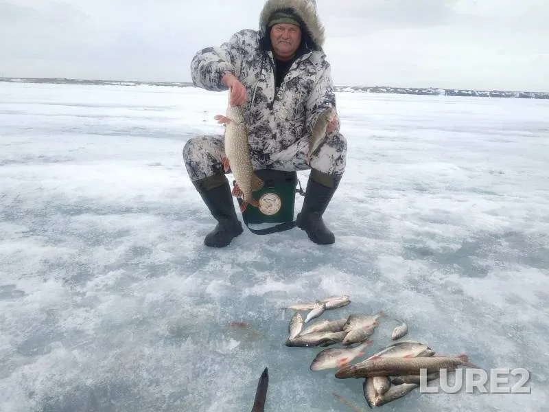 Perch, Pike — Ishim, Mar 31, 2019