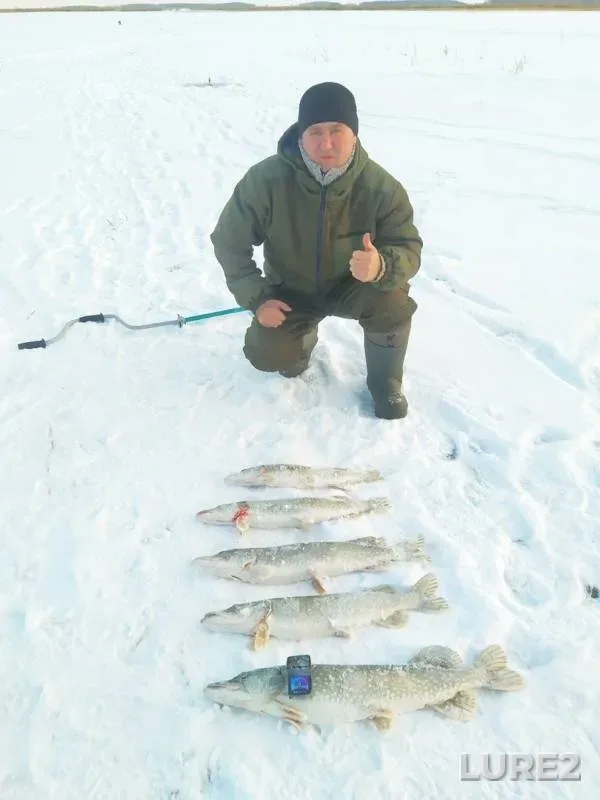 Pike — Balykty, Nov 27, 2019