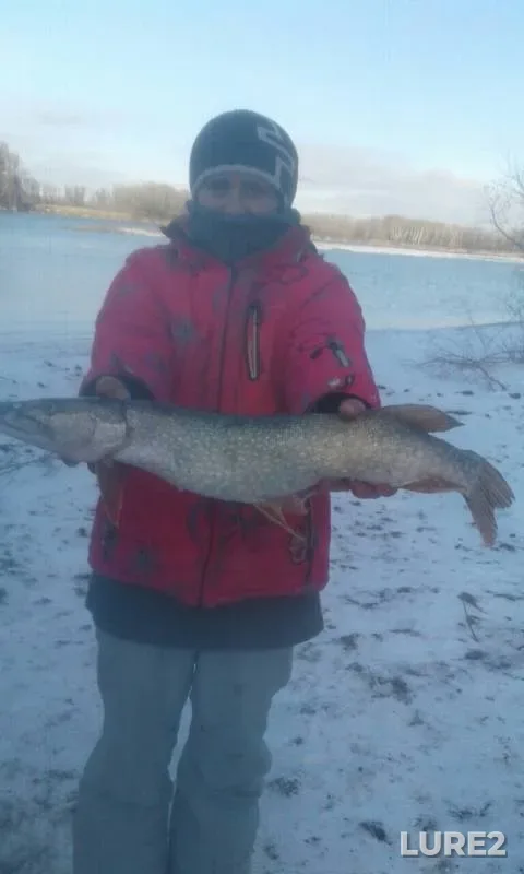 Pike — Lebedinka, Nov 04, 2018