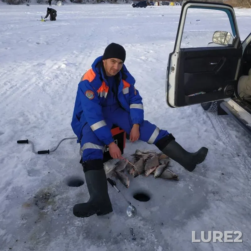 Bream, Roach — Pavlodarskaya oblast, Dec 19, 2018