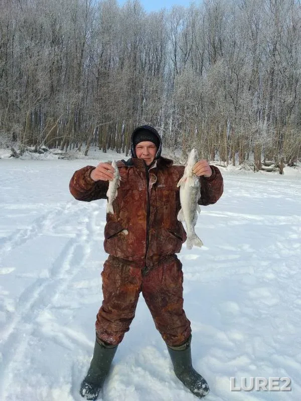 Zander — Usolka, Jan 04, 2019