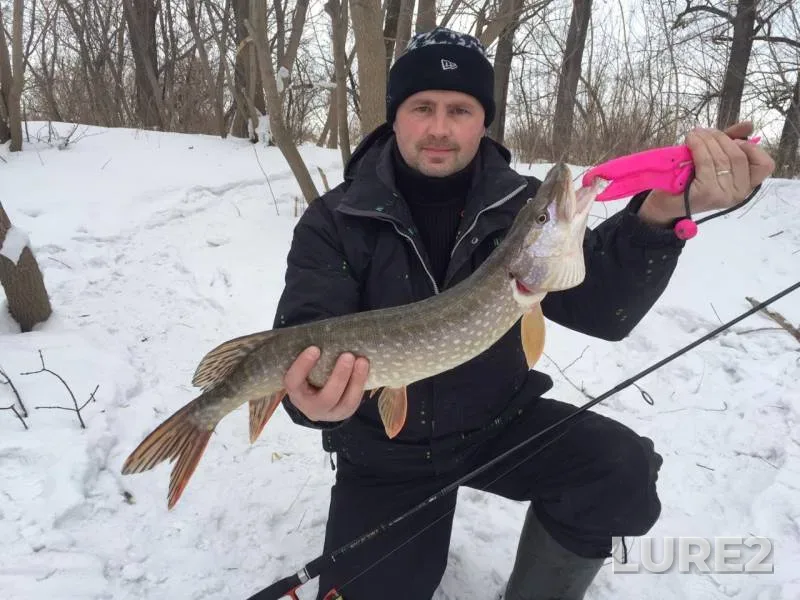 Pike — Staryy Irtysh, Feb 17, 2019